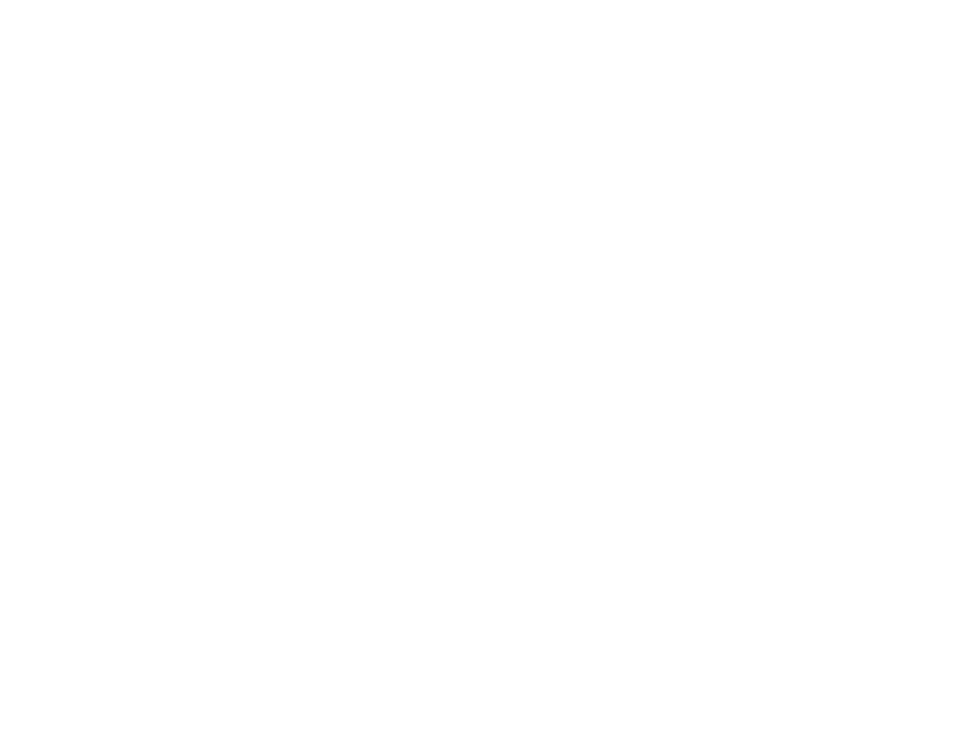 SSIP