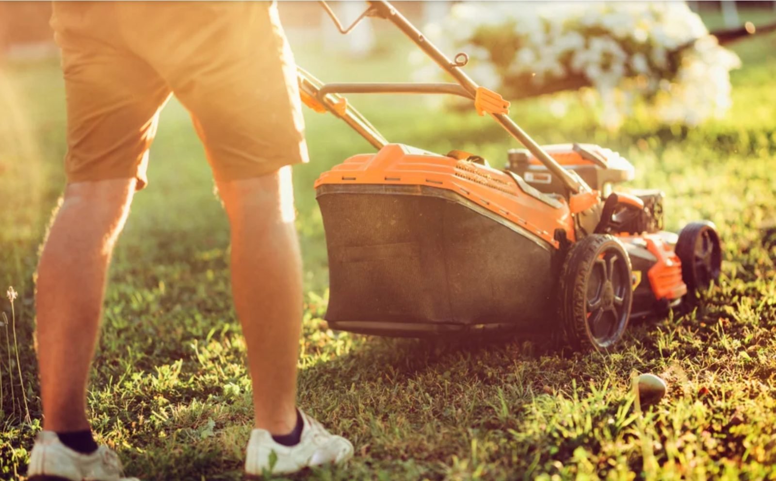 Mowing the lawn on a summer evening