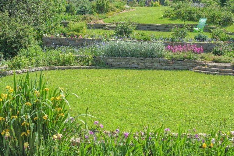 Landscaped Garden
