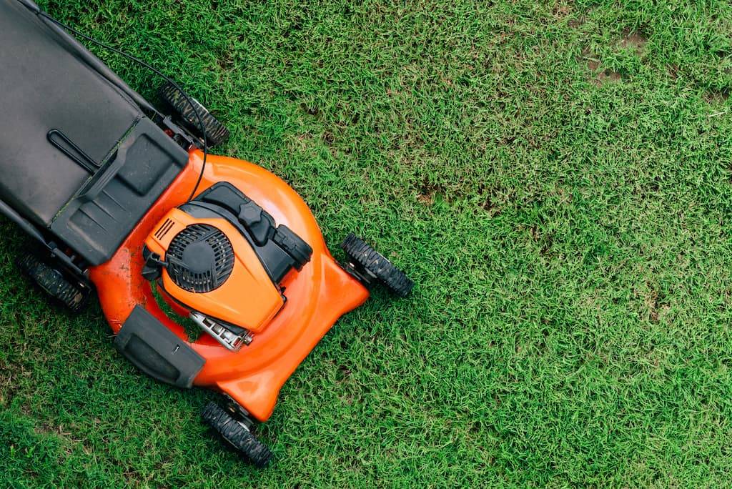 an image of a push lawnmower