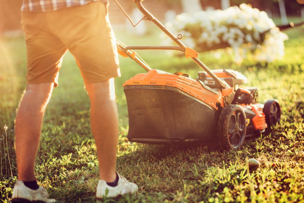 Sunset,details,of,industrial,gardening,and,landscaping.,caucasian,gardener,working