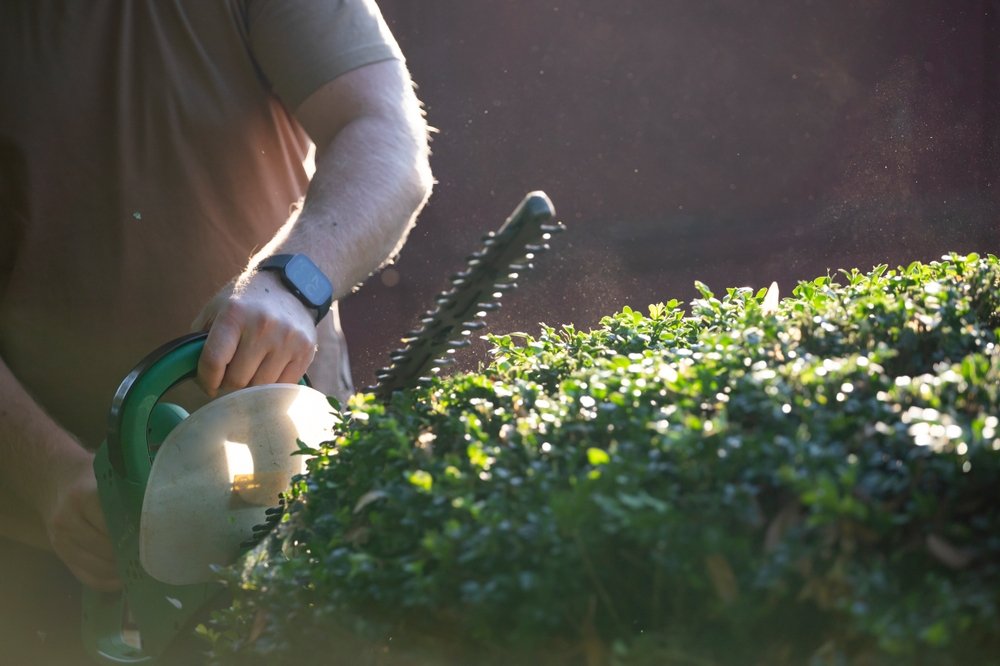 Man,hand,holding,and,using,hedge,trimmer,machine,for,bush