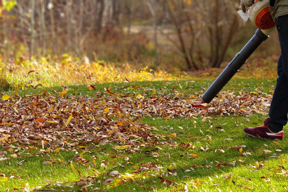 Man,cleaning,fallen,autumn,leaves,from,green,lawn,with,a