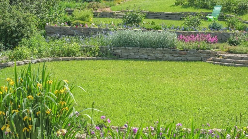 Revive Garden After Summer